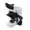 Microscopio Binocular | Daniel Hernandez Garcia